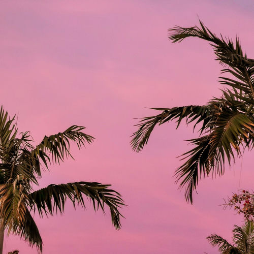 TMB – Hot Breeze cover art